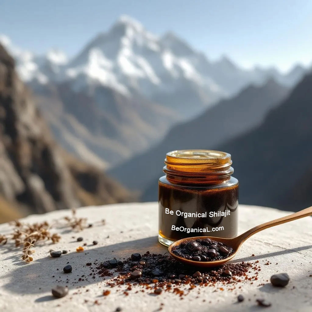 discovery of shilajit